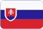 První Paletová Společnost s.r.o. Slovensky